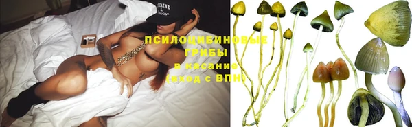 бошки Верхнеуральск