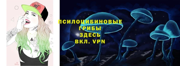 соль курить ск Верея