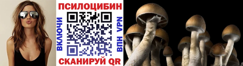 Купить где  Лаишево  Псилоцибиновые грибы мицелий 