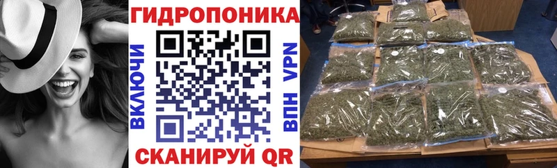 Купить где  Лаишево  Конопля OG Kush 